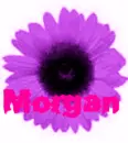 Morgan