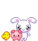 bunny, piggy, bird