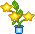 stars