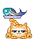 cat and fish