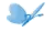 blue butterfly