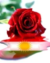 kurd