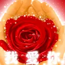 i love you : a rose in the hands