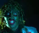 Old Gregg Vince Noir