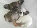 Friendship - hugs