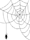 Spiderweb Background