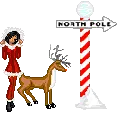 north pole