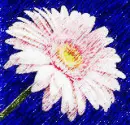 Pink flower