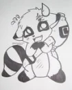 Raccon gaara