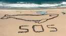 SOS