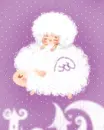 cute jaja flying on a sheep