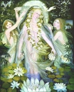 Water Nymphs