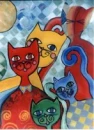 gatos