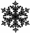 Black Snowflake