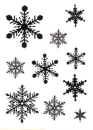 BLACK & WHITE SNOW