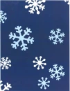 SKY SNOWFLAKES