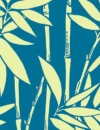 BAMBOO