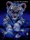 Tiger - Anti Animal Abuse