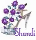 Shandi