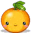 Orange Cutie