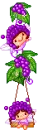 Grape Pixies