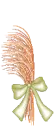 Wheat