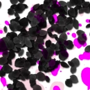 black rose petals and pink ink splats