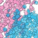 pink and light blue flower petals