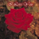 I Love you