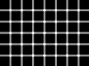 black dots