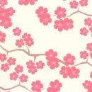 pinky blossoms