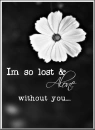 Lost and Alone