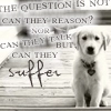be kind to animals