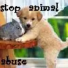 stop animal abuse