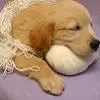 shhhh...im tired