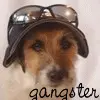 gansta