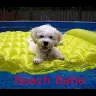 beach babe