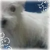 mi close-up