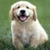 TOO happy