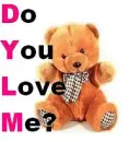 love