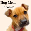 hug me plz