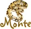 Monte