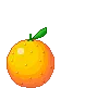Orange Surprise