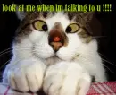 Look at me
