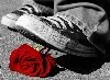 Emo Rose