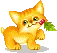 cute little kitty