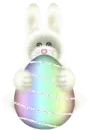 bunny rabit