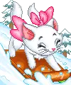 kitty on snowboard