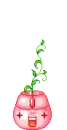 cute mouse & plant