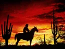 cowboy